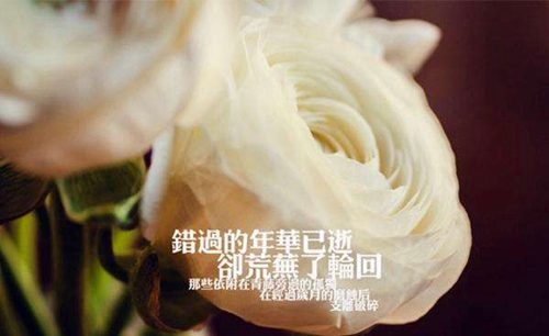 教师节送别老师祝福语